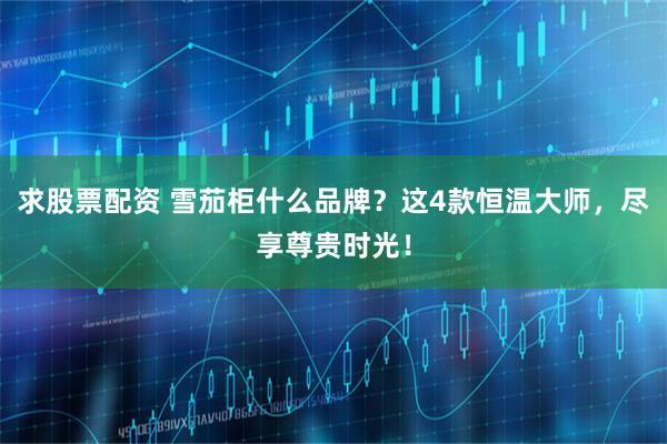 求股票配资 雪茄柜什么品牌？这4款恒温大师，尽享尊贵时光！